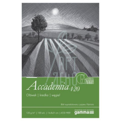 Склейка для малювання Gamma Accademia 120, 120 г/м2, 100 л., Польща