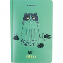 Блокнот Sorry cat, А5+ (15,6 х 21,9 см), клітинка, 40 л., Kite