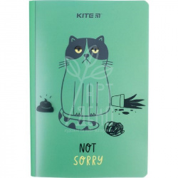 Блокнот Sorry cat, А5+ (15,6 х 21,9 см), клітинка, 40 л., Kite